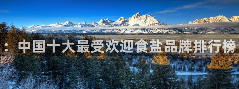 威九国际下载官网app