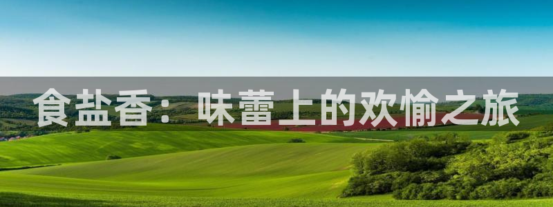 保定威九网络科技有限公司怎么样