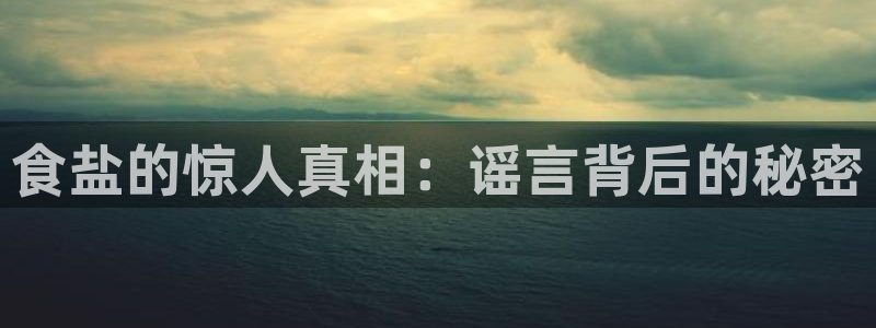 保定威九网络科技有限公司电话