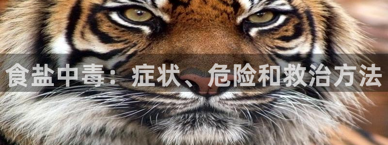 威九国际网站链接怎么打开