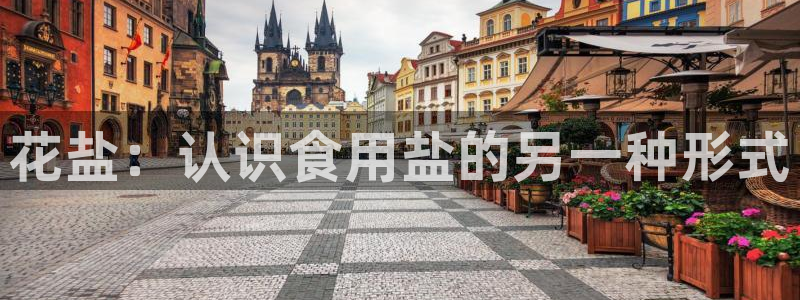 78mapp威九国际媒体