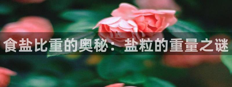 威九国际电子有限公司