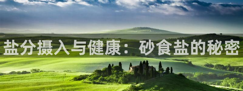 威九国际网站怎么样可靠吗
