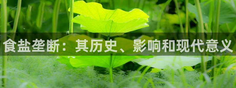 威九国际78mb官网版