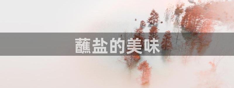 威九国际网站更新