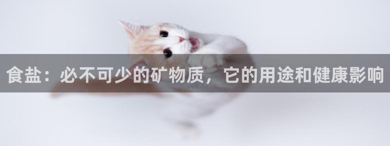 威九国际入口一