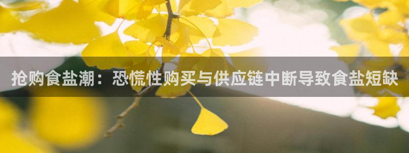 威九国际演员名单