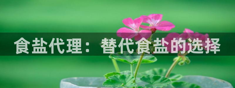 威九国际官方网站