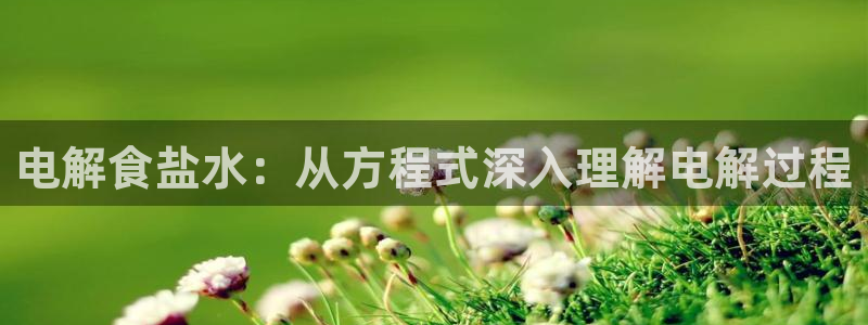 威九国际网站