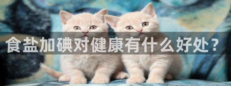 威九国际