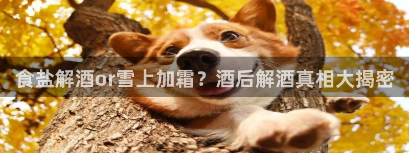 威九国际惠子