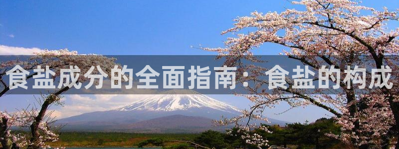 威九国际app网站