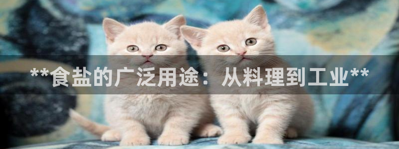 78.m威九国际官网版