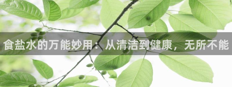 威九国际78mB