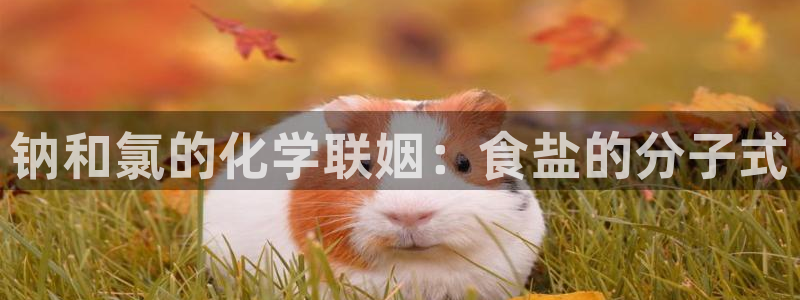 威九国际可以提现吗现在