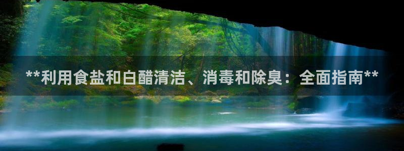 威九国际v96bet官网版