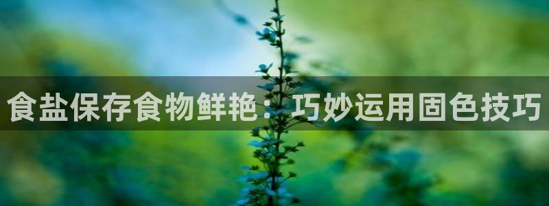 威九国际app下载