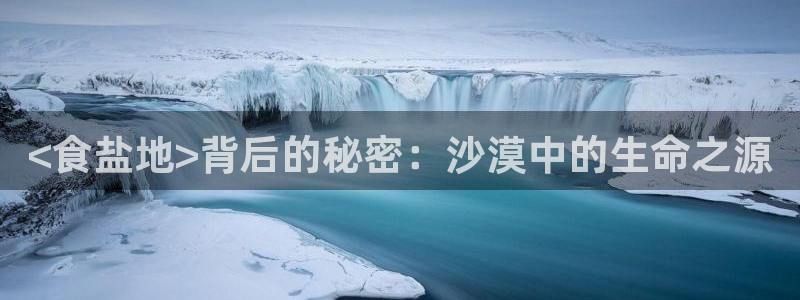 保定威九网络科技有限公司电话
