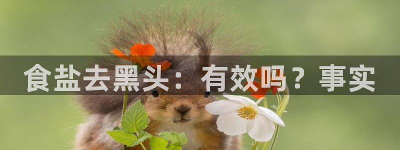 威九国际发布新版eBzxin2Tp