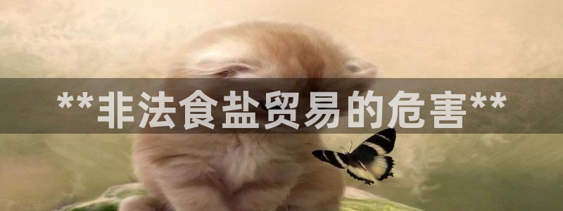 保定威九网络科技有限公司电话