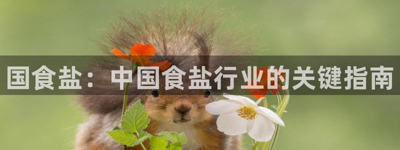 威九国际演员名单