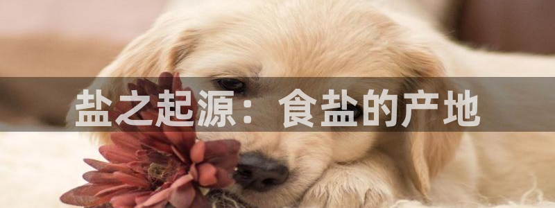 威九国际78m域名