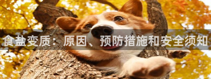 威九国际风情万种