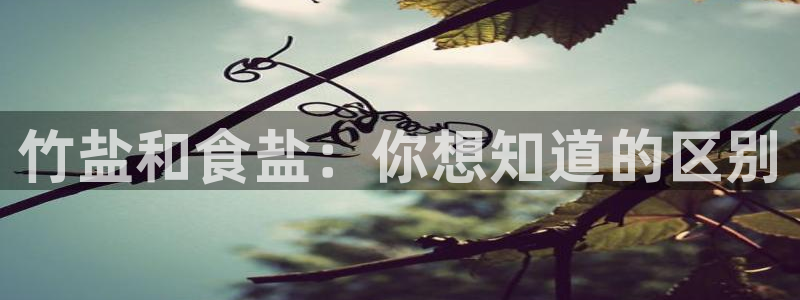 威九国际78mb特点