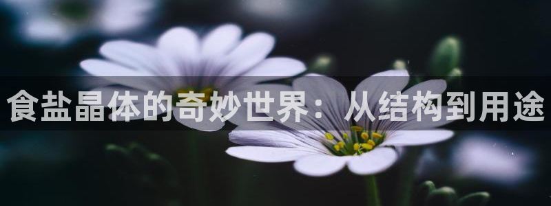 威九国际m78