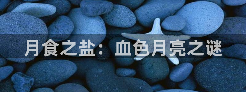 威九国际FF