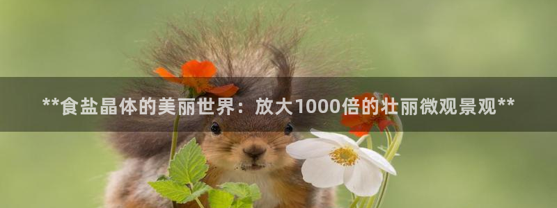 威九国际替好友去