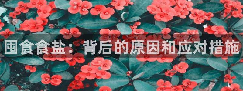 威九国际78mb官网