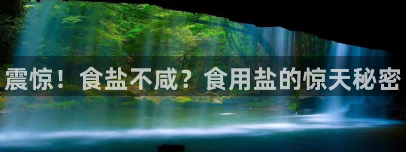 威九国际网页看视频弹窗的广告拦截插件