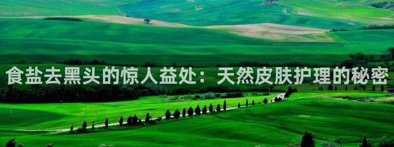 保定威九网络科技有限公司