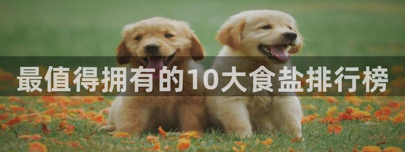 威九国际和之前
