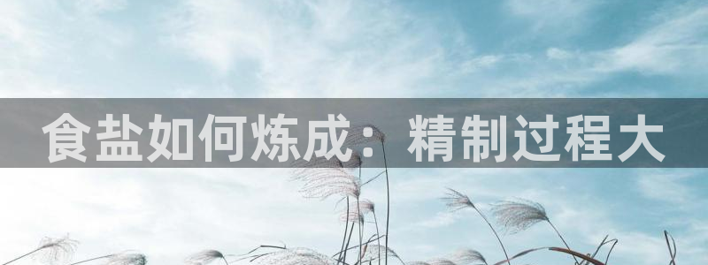 威九国际最受欢迎的功能