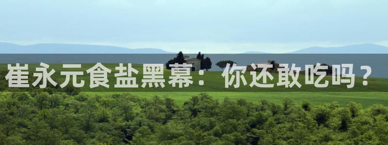 威九国际软件