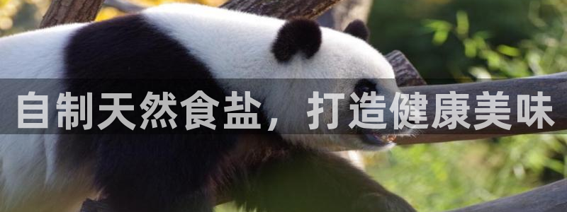 威九国际安全吗的认证团队
