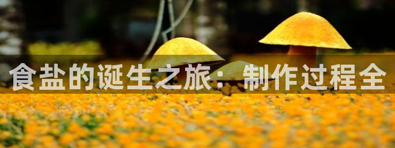 威九国际APP入口