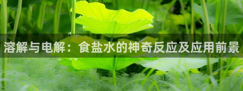 66m威九国际成长模式