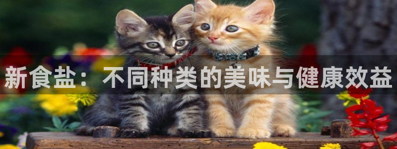 威九国际mb
