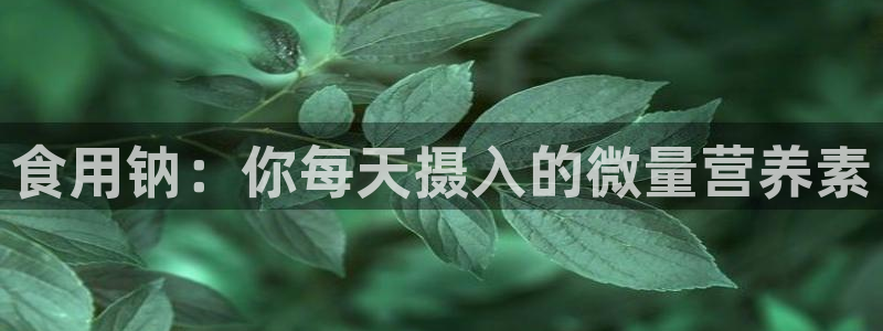 威九国际网站