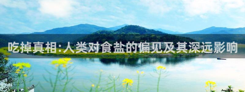 威九国际官网版