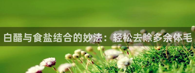 威九国际78mb42- MBA中文