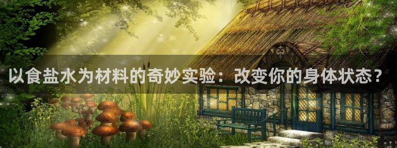 威九国际的金融服务