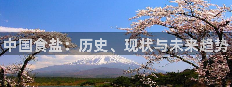 威九国际官网版下载