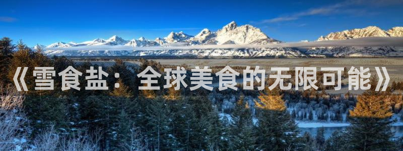 威九国际可以退钱吗怎么退的