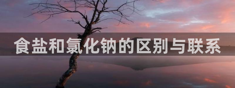 威九国际游戏