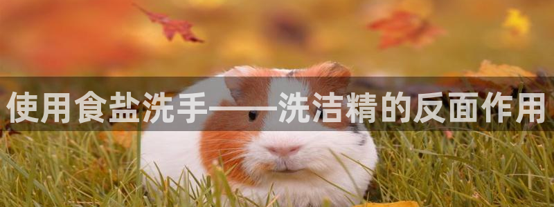 威九国际可以退钱吗怎么退的