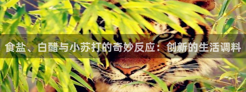 威九国际66m66大陆